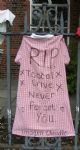 Salford Council Bulldozing Primary Schools 